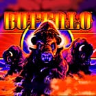 Buffalo game thumbnail